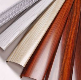 Concevez l'aluminium en fonction du client a expulsé des profils pour la salle de bains Windows coulissant en aluminium