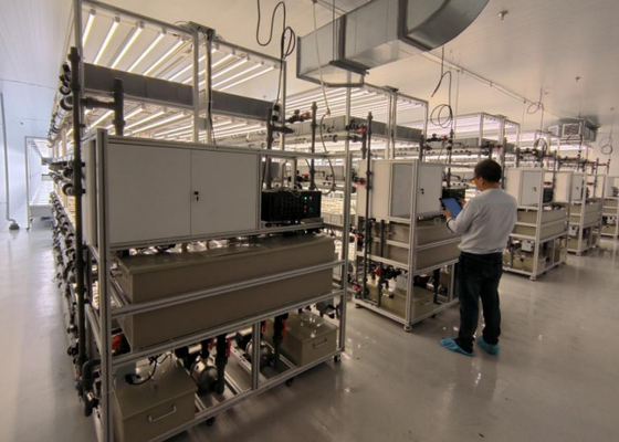 Plantation de systèmes de culture hydroponique de 3 mètres