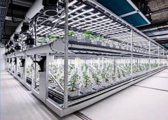 Système hydroponique d'aéroponie personnalisé pour la plantation